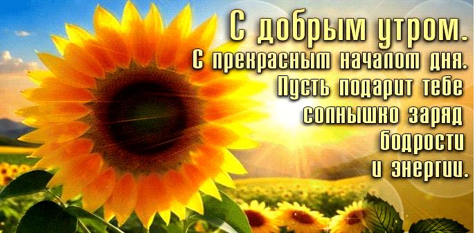 Мерцающие движущиеся gif картинки с добрым утром
