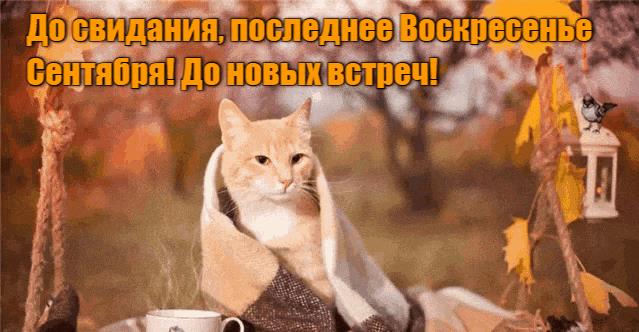 Гифки с последним Воскресеньем Сентября (10 gif картинок)