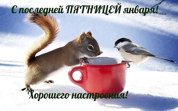 Картинки с добрым утром и с последней Пятницей Января (гифки, открытки)