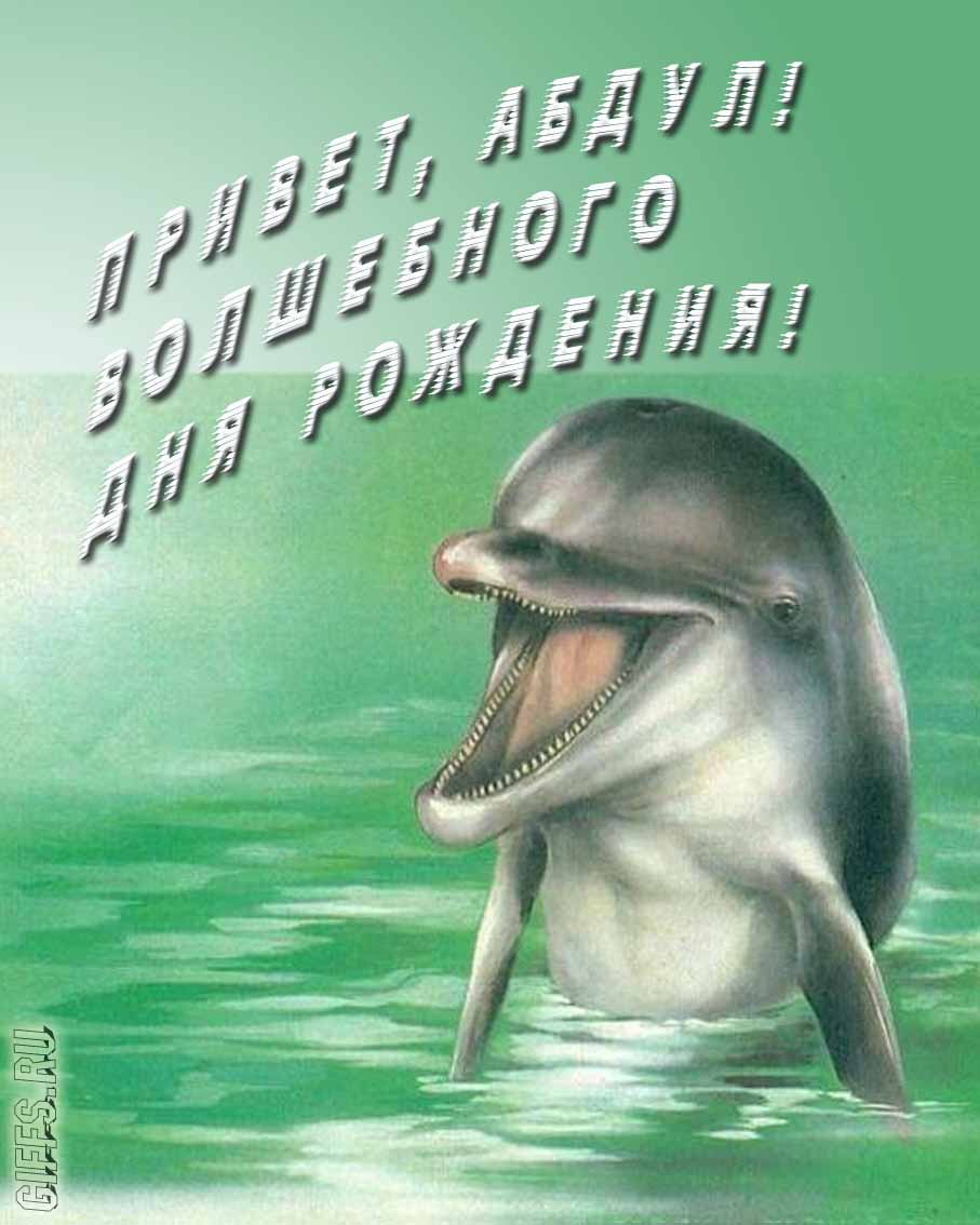 Прикольная картинка с дельфином "Привет, Абдул! Волшебного дня рождения!".