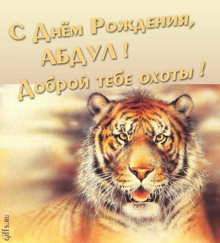 Прикольная картинка с суровым тигром "С днём рождения, Абдул! Доброй тебе охоты!".