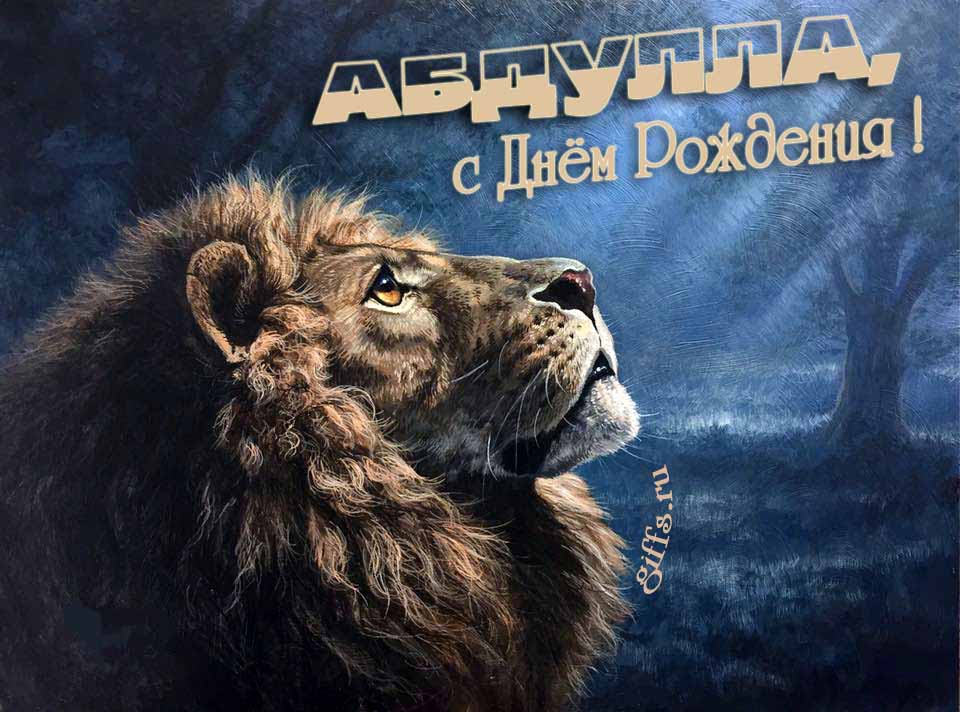 Крутая открытка со львом смотрящим на лунный свет и текстом "Абдулла, с днём рождения!".