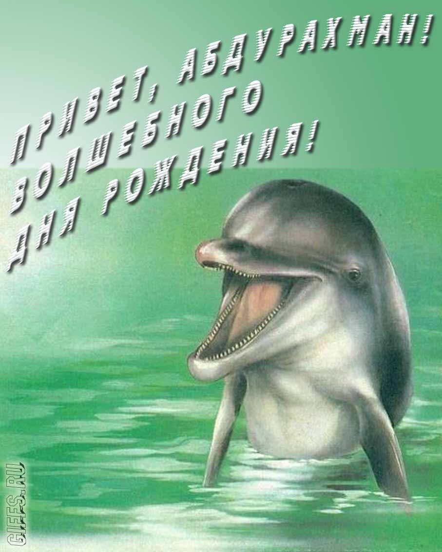 Прикольная картинка с дельфином "Привет, Абдурахман! Волшебного дня рождения!". Прикольная картинка с дельфином "Привет, Абдурахман! Волшебного дня рождения!".