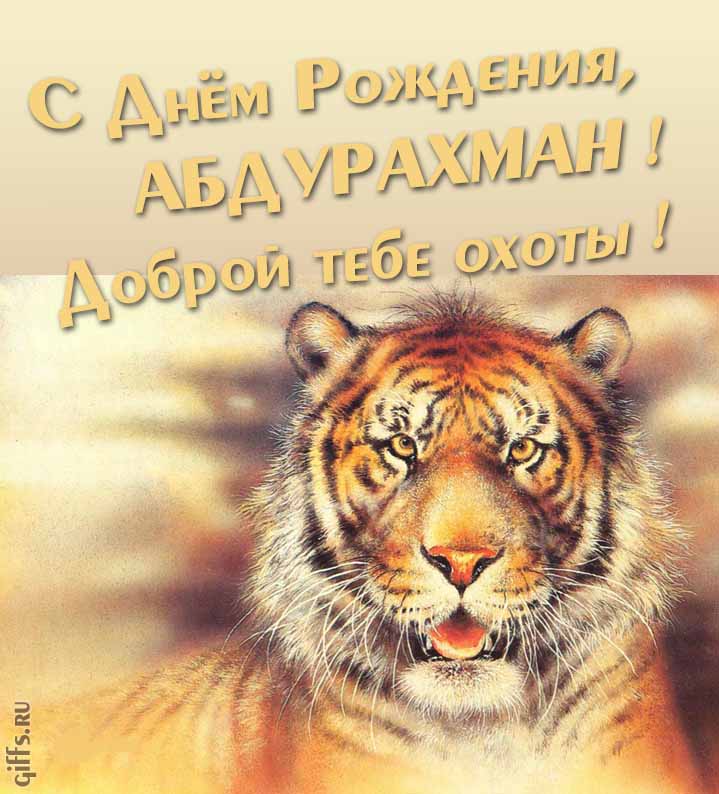 Прикольная картинка с суровым тигром "С днём рождения, Абдурахман! Доброй тебе охоты!". Прикольная картинка с суровым тигром "С днём рождения, Абдурахман! Доброй тебе охоты!".