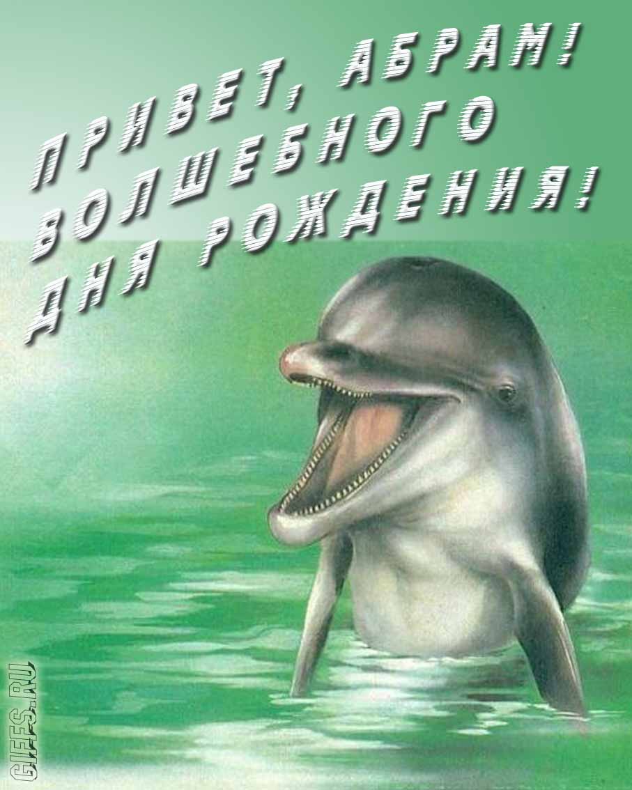 Прикольная картинка с дельфином "Привет, Абрам! Волшебного дня рождения!".