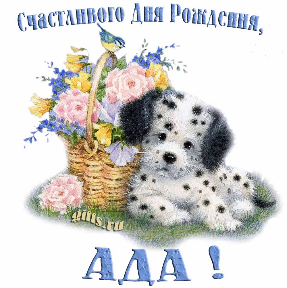 Прикольная и смешная открытка с корзиной цветов и собачкой для пожелания счастливого дня рождения Аде.