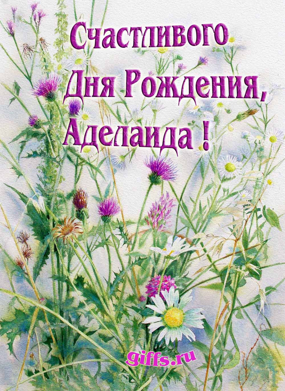 Картинка с луговыми цветами и пожеланием счастливого дня рождения девушке Аделаиде. Картинка с луговыми цветами и пожеланием счастливого дня рождения девушке Аделаиде.