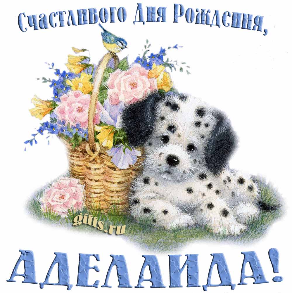 Прикольная и смешная открытка с корзиной цветов и собачкой для пожелания счастливого дня рождения Аделаиде. Прикольная и смешная открытка с корзиной цветов и собачкой для пожелания счастливого дня рождения Аделаиде.