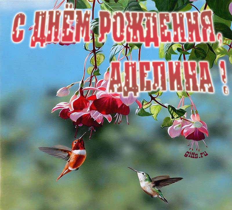 Яркая летняя открытка с птичками в цветах ко дню рождения Аделины. Яркая летняя открытка с птичками в цветах ко дню рождения Аделины.