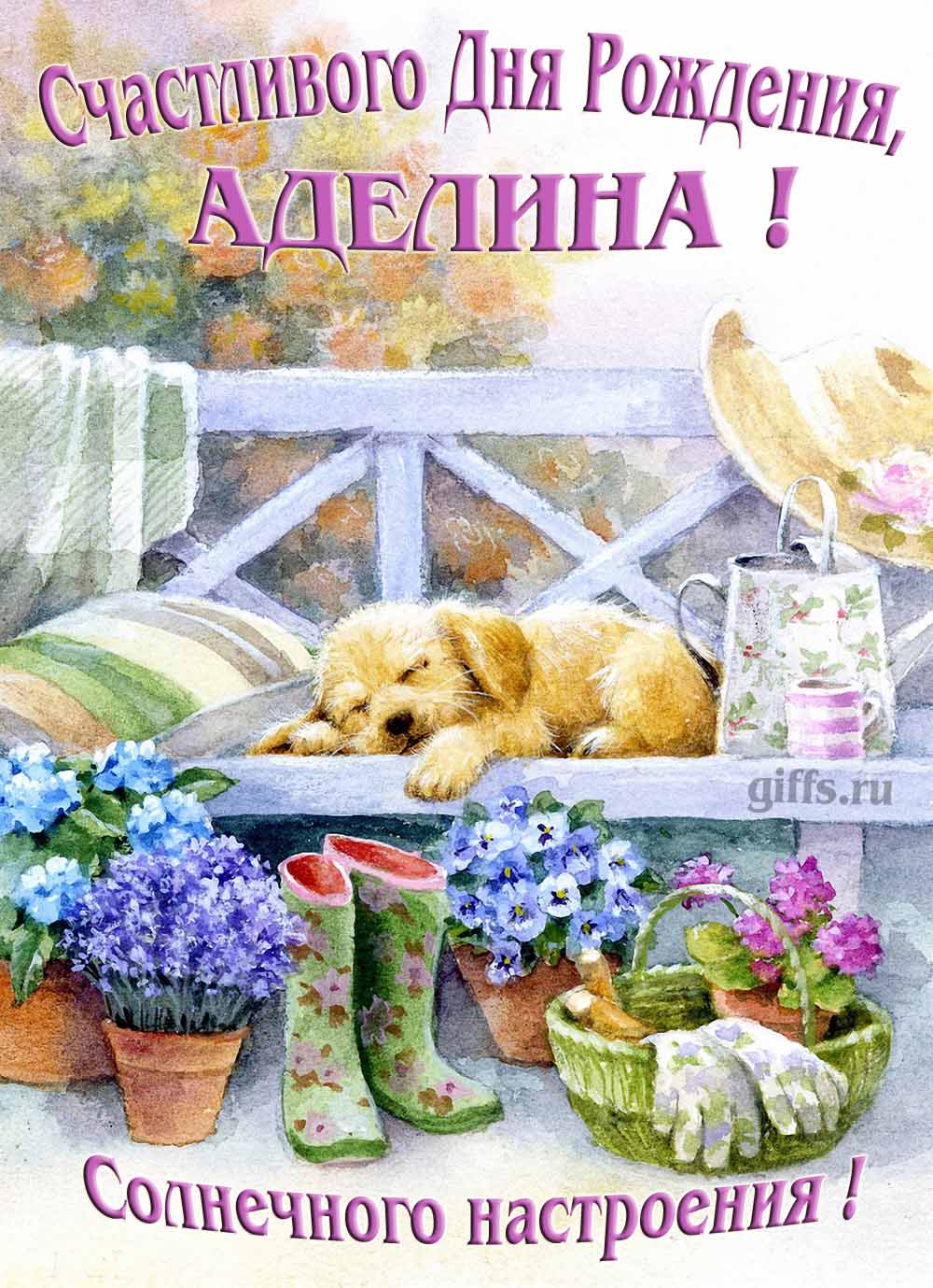 Прикольная картинка с собачкой и пожеланием Аделине счастливого дня рождения и солнечного настроения. Прикольная картинка с собачкой и пожеланием Аделине счастливого дня рождения и солнечного настроения.