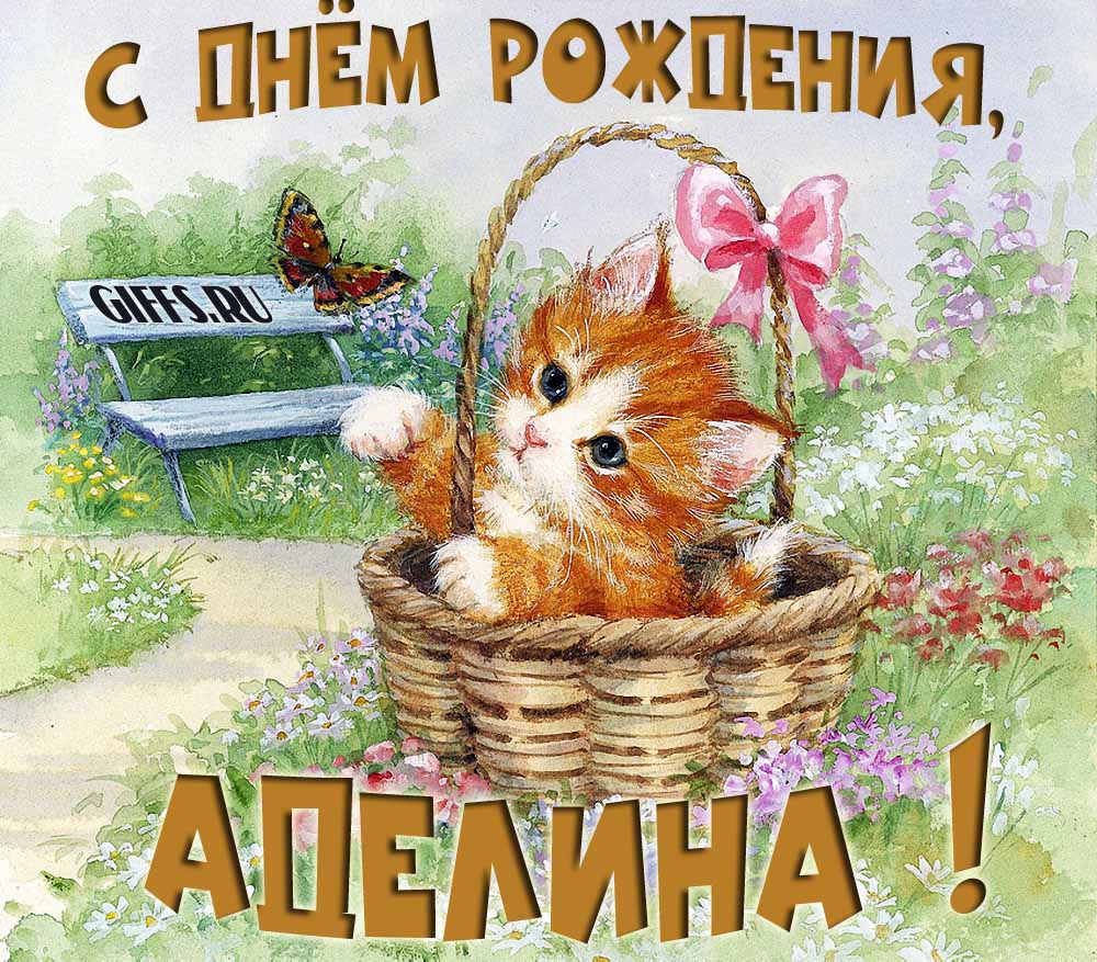Милая летняя открытка с рыжим котёнком и поздравлением в день рождения для Аделины. Милая летняя открытка с рыжим котёнком и поздравлением в день рождения для Аделины.