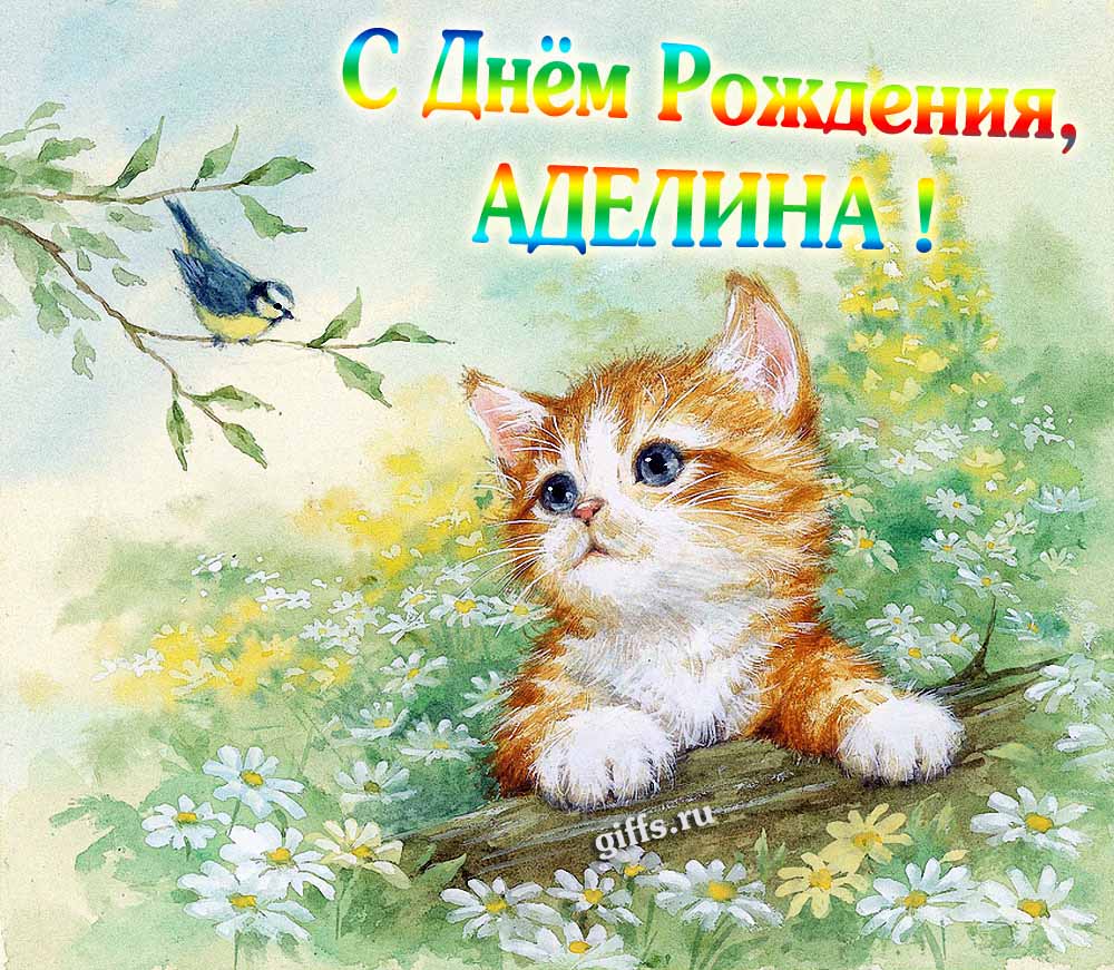 Красивая картинка с котёнком в полевых ромашках для поздравления Аделины с днём её рождения. Красивая картинка с котёнком в полевых ромашках для поздравления Аделины с днём её рождения.