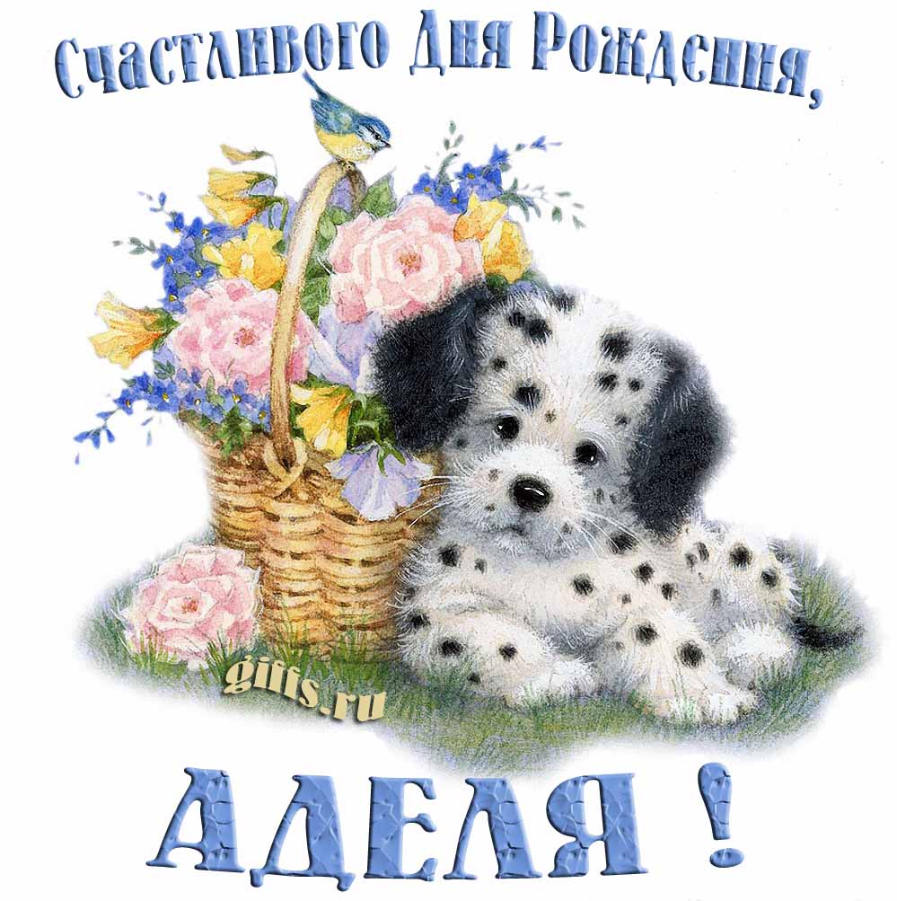 Прикольная и смешная открытка с корзиной цветов и собачкой для пожелания счастливого дня рождения Аделии.