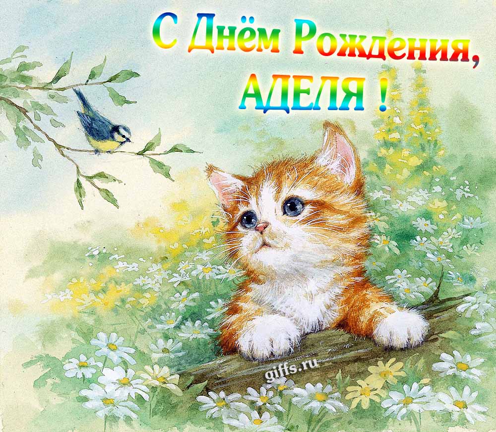 Красивая картинка с котёнком в полевых ромашках для поздравления Аделии с днём её рождения.