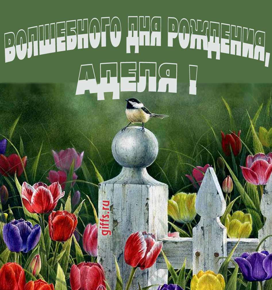 Нежная картинка с разноцветными тюльпанами и надписью "Волшебного дня рождения, Аделя!".