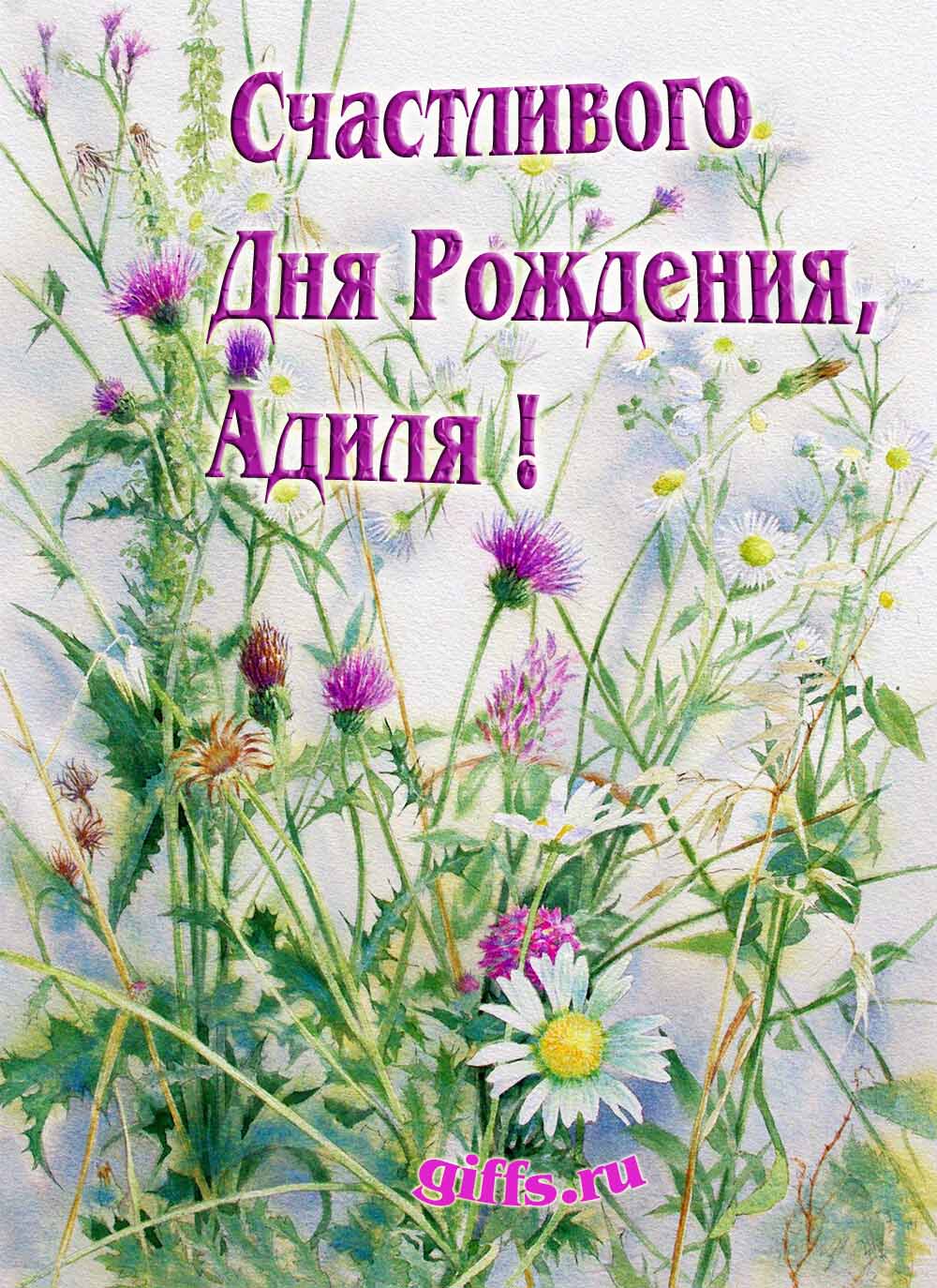 Картинка с луговыми цветами и пожеланием счастливого дня рождения девушке Адиле.