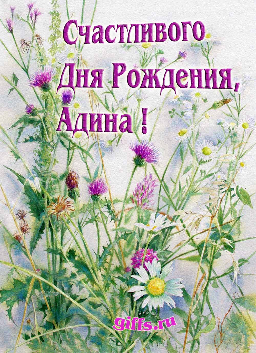 Картинка с луговыми цветами и пожеланием счастливого дня рождения девушке Адине.