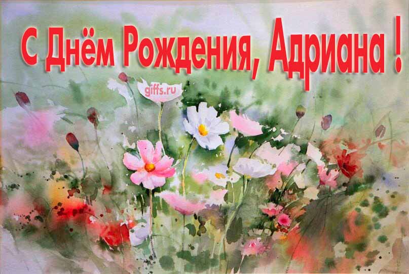 Стильная открытка с луговыми цветами в день рождения для Адрианы. Стильная открытка с луговыми цветами в день рождения для Адрианы.