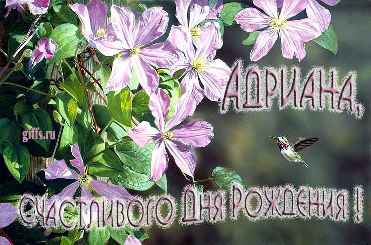 Летняя именная открытка с птичкой в цветах и надписью "Адриана, счастливого дня рождения!". Летняя именная открытка с птичкой в цветах и надписью "Адриана, счастливого дня рождения!".