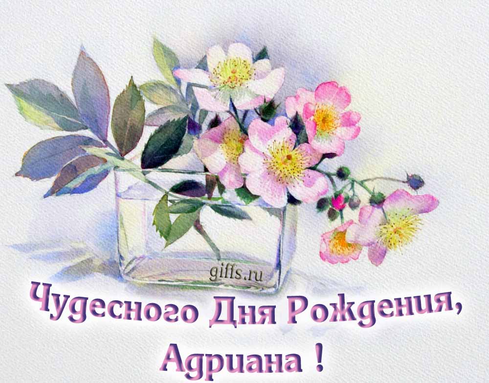 Букет нежных цветочков и надпись "Чудесного дня рождения, Адриана!". Букет нежных цветочков и надпись "Чудесного дня рождения, Адриана!".