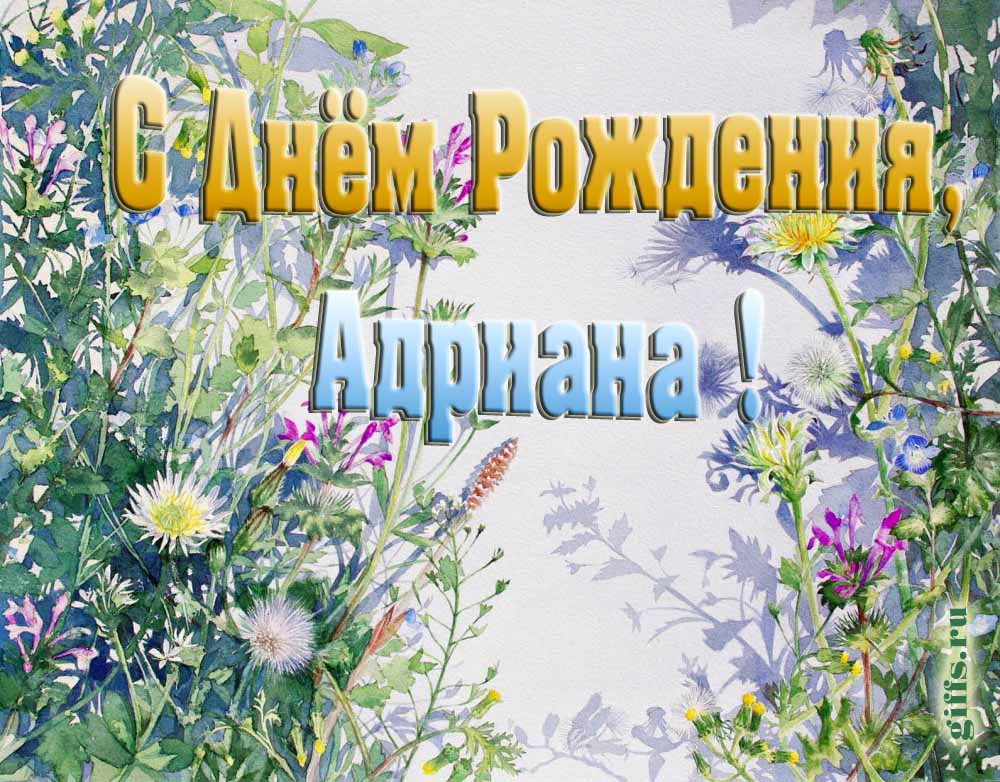 На сайте giffs.xatab.top самые красивые открытки с цветами ко дню рождения Адрианы можно скачать бесплатно. На сайте giffs.xatab.top самые красивые открытки с цветами ко дню рождения Адрианы можно скачать бесплатно.