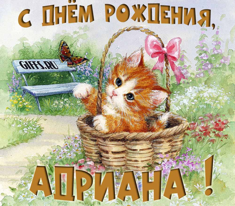 Милая летняя открытка с рыжим котёнком и поздравлением в день рождения для Адрианы. Милая летняя открытка с рыжим котёнком и поздравлением в день рождения для Адрианы.