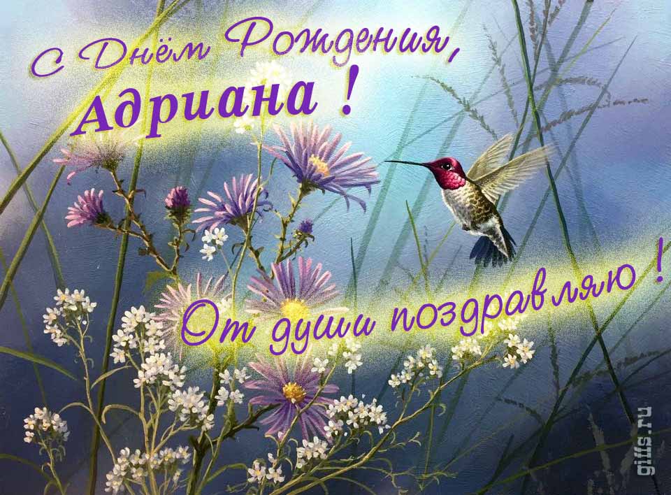 Волшебная открытка с птичкой в цветах и надписью "С днём рождения, Адриана! От души поздравляю!". Волшебная открытка с птичкой в цветах и надписью "С днём рождения, Адриана! От души поздравляю!".