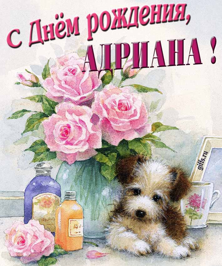 Новая нежная открытка с днём рождения Адриана с розами с собачкой. Новая нежная открытка с днём рождения Адриана с розами с собачкой.