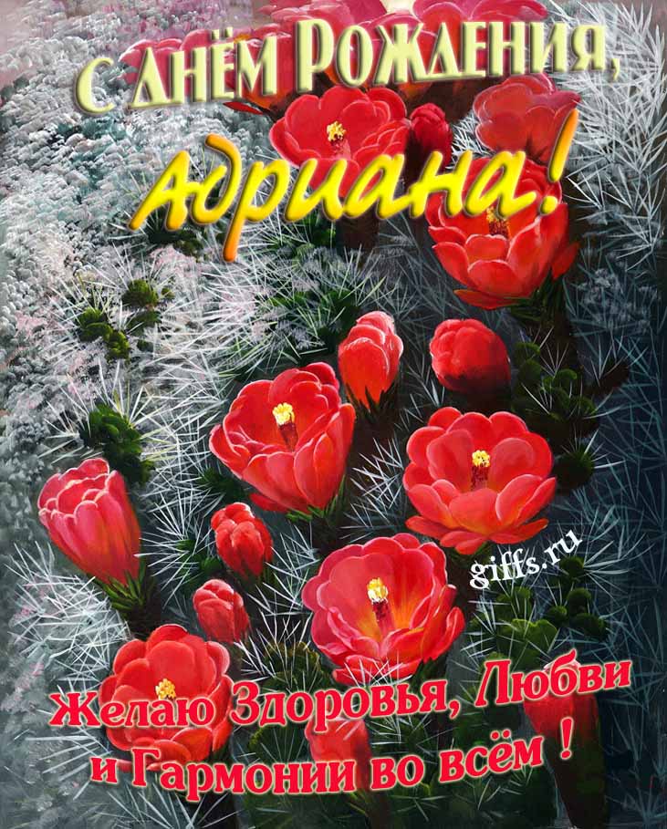 Шикарные открытки с днём Рождения, Адриана! С пожеланием здоровья, любви и гармонии во всём! Шикарные открытки с днём Рождения, Адриана! С пожеланием здоровья, любви и гармонии во всём!