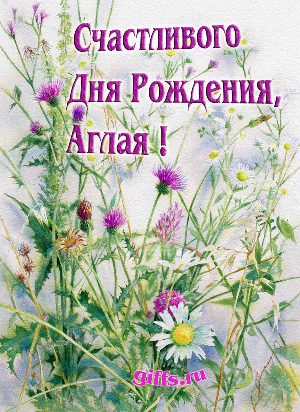 Картинка с луговыми цветами и пожеланием счастливого дня рождения девушке Аглае.
