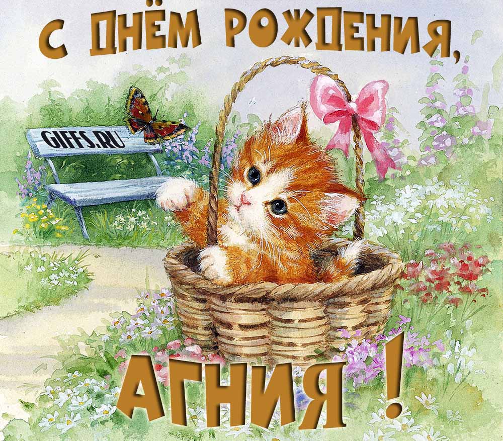 Милая летняя открытка с рыжим котёнком и поздравлением в день рождения для Агнии.