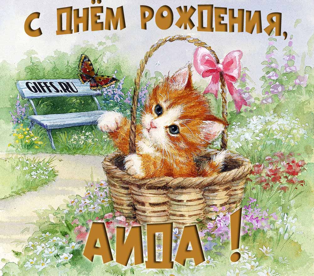 Милая летняя открытка с рыжим котёнком и поздравлением в день рождения для Аиды.