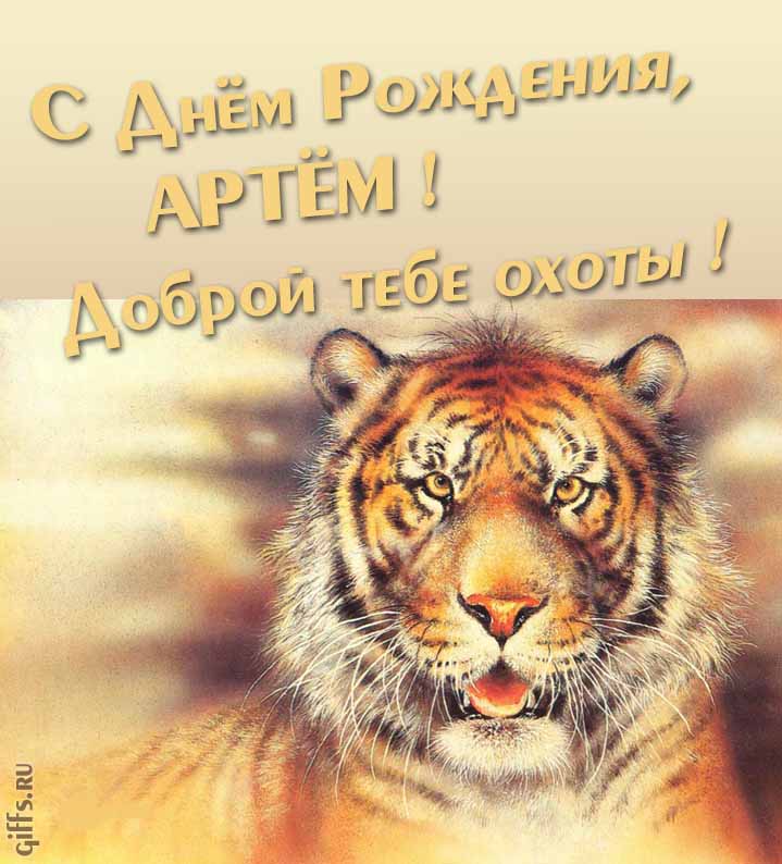 Прикольная картинка с суровым тигром "С днём рождения, Артём! Доброй тебе охоты!".