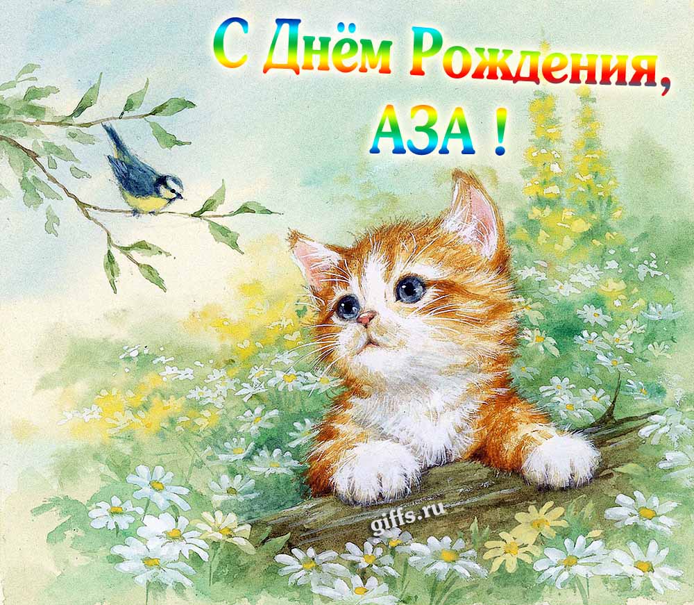 Красивая картинка с котёнком в полевых ромашках для поздравления Азы с днём её рождения. Красивая картинка с котёнком в полевых ромашках для поздравления Азы с днём её рождения.