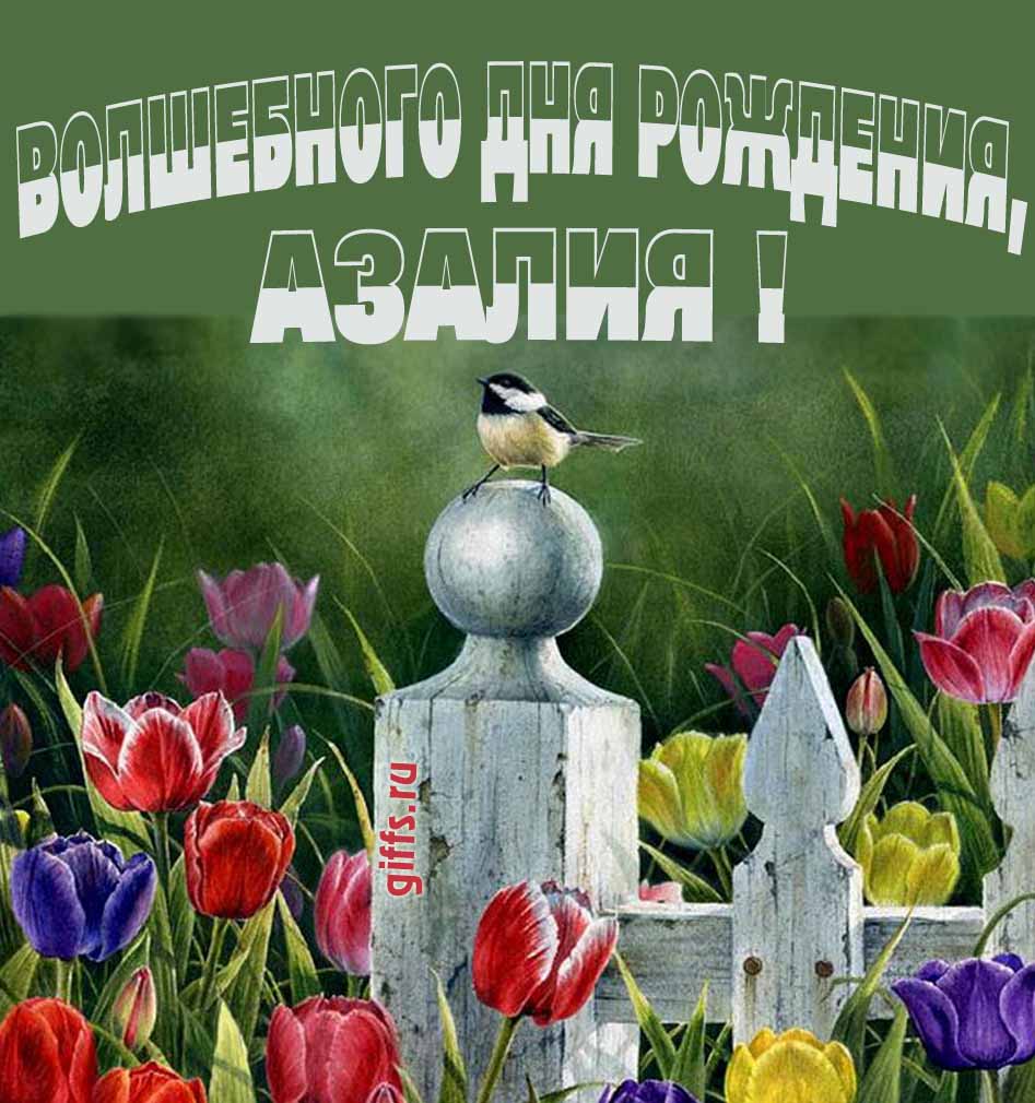 Нежная картинка с разноцветными тюльпанами и надписью "Волшебного дня рождения, Азалия!".