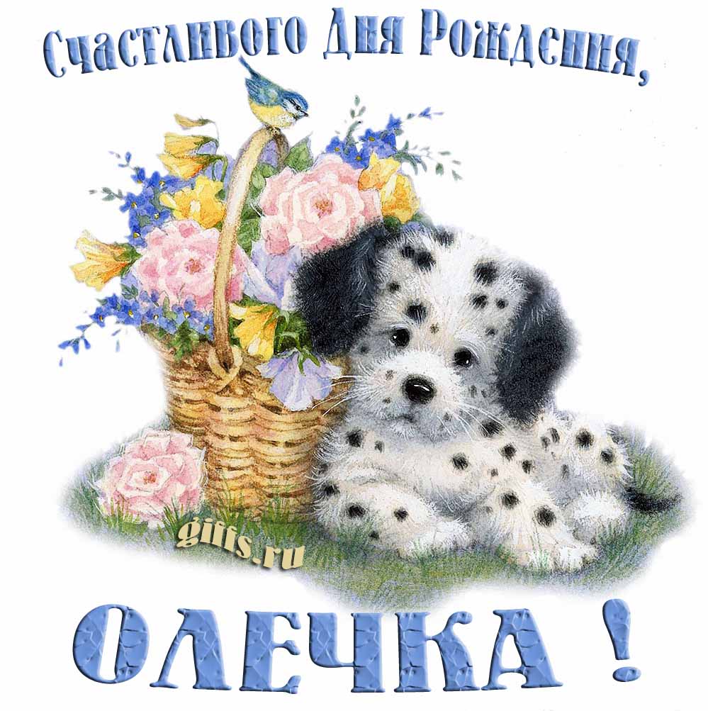 Прикольная и смешная открытка с корзиной цветов и собачкой для пожелания счастливого дня рождения Олечка.