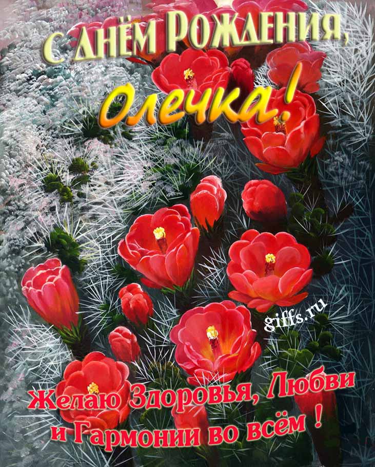 Шикарные открытки с днём Рождения, Ольга! С пожеланием здоровья, любви и гармонии во всём!