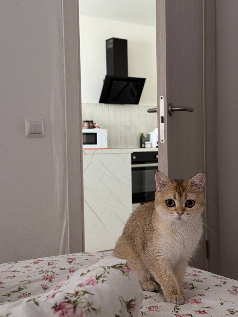 Её любимая Кошка Бусинка.