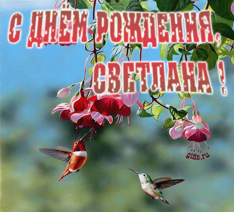 Яркая летняя открытка с птичками в цветах ко дню рождения Светланы. Яркая летняя открытка с птичками в цветах ко дню рождения Светланы.