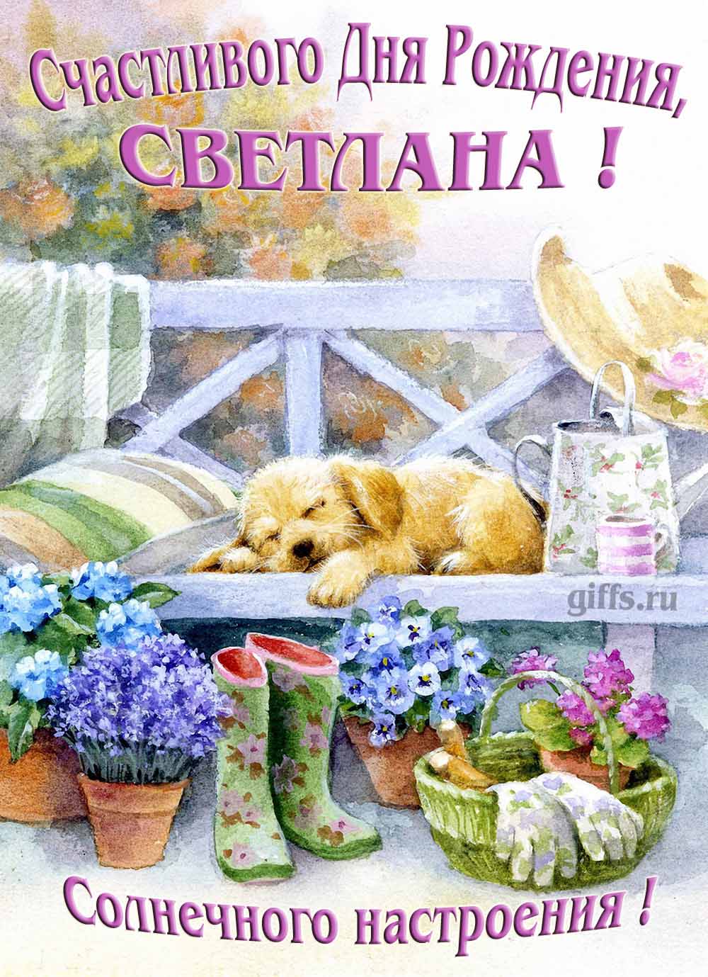 Прикольная картинка с собачкой и пожеланием Светлане счастливого дня рождения и солнечного настроения. Прикольная картинка с собачкой и пожеланием Светлане счастливого дня рождения и солнечного настроения.