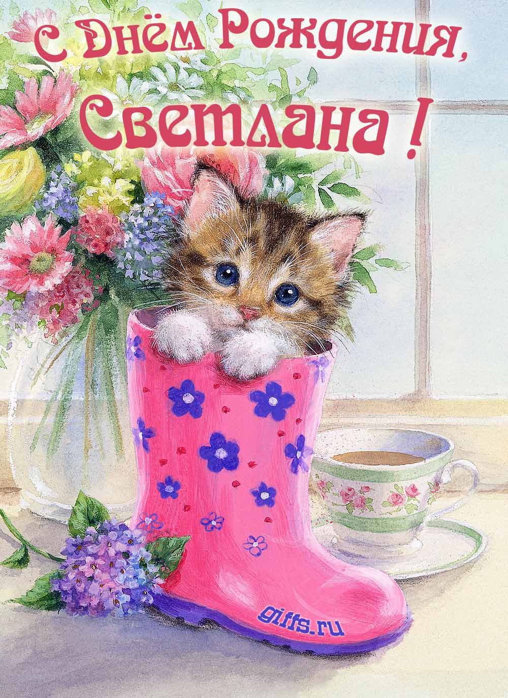 Милая открытка с букетом цветов и котёнком для поздравления девушки с именем Светлана в день её рождения. Милая открытка с букетом цветов и котёнком для поздравления девушки с именем Светлана в день её рождения.