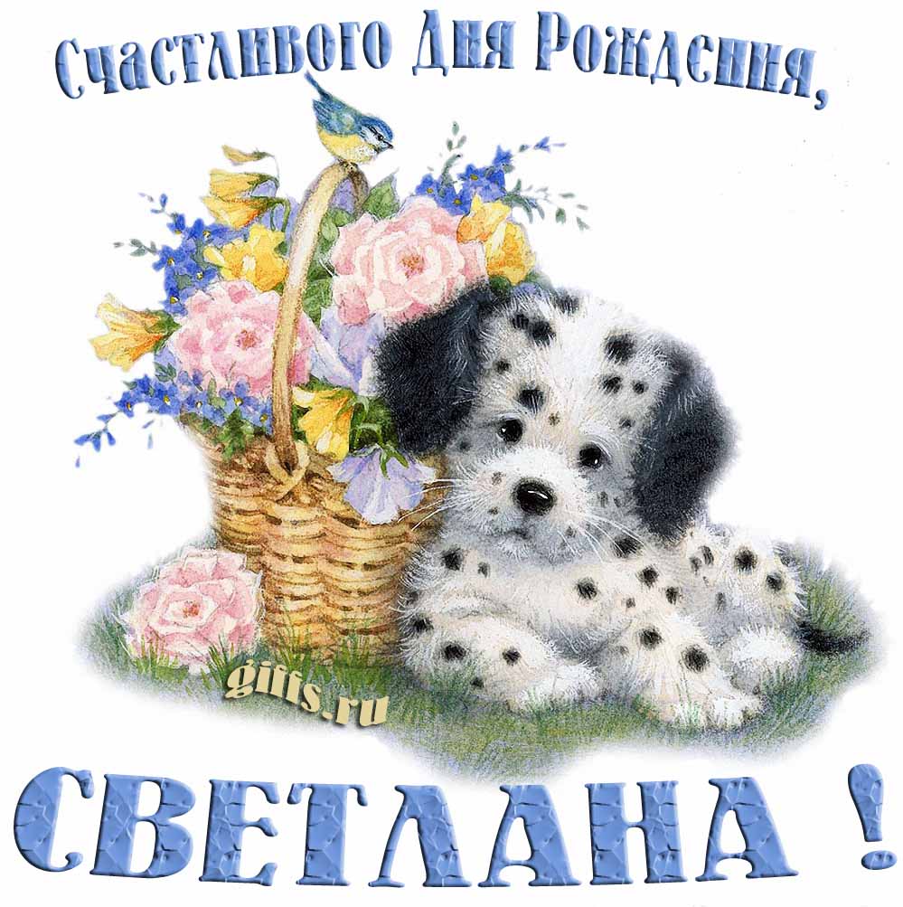 Прикольная и смешная открытка с корзиной цветов и собачкой для пожелания счастливого дня рождения Светлане. Прикольная и смешная открытка с корзиной цветов и собачкой для пожелания счастливого дня рождения Светлане.