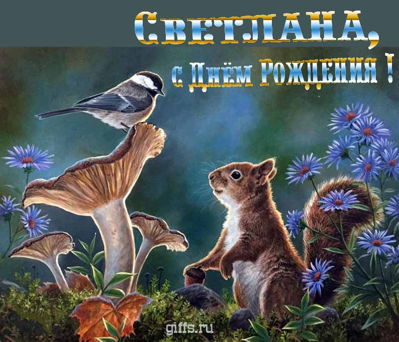 Прикольная и смешная открытка с белочкой среди грибов для поздравления Светланы с ДР. Прикольная и смешная открытка с белочкой среди грибов для поздравления Светланы с ДР.