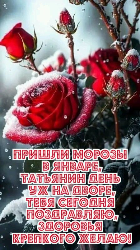 Зимняя открытка с красными розами и надписью "Пришли морозы в Январе, Татьянин день уж на дворе, тебя сегодня поздравляю, здоровья крепкого желаю!" С наступающим!